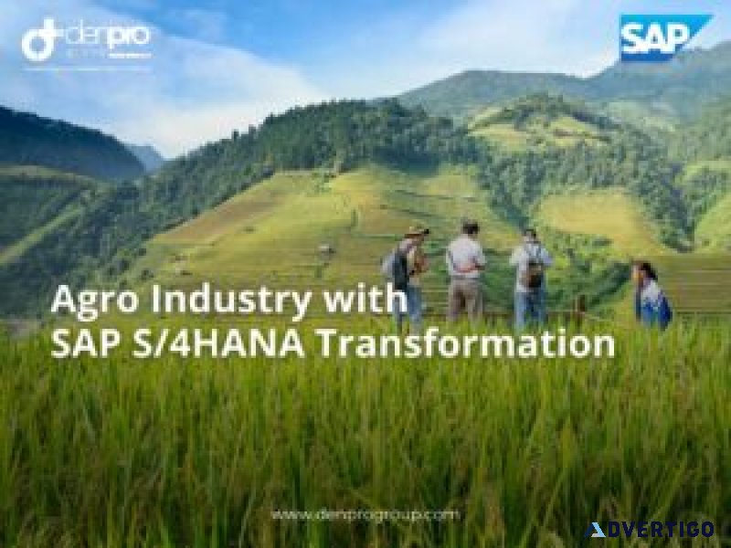 Rise with sap s/4hana private cloud india – denpro group