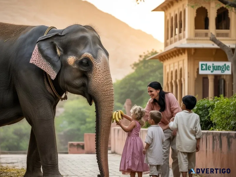 Plan a visit to elephant village jaipur for an ethical elephant