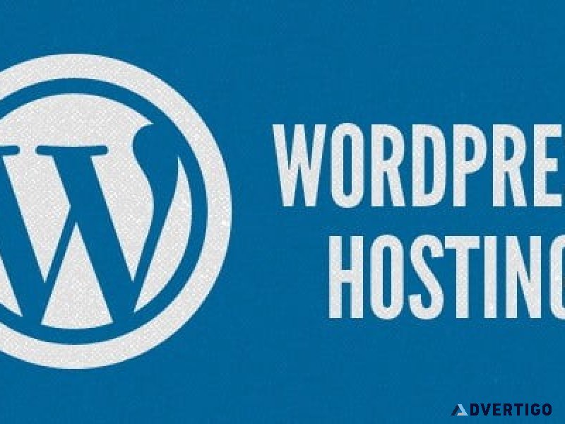 Best wordpress hosting plans for all website types