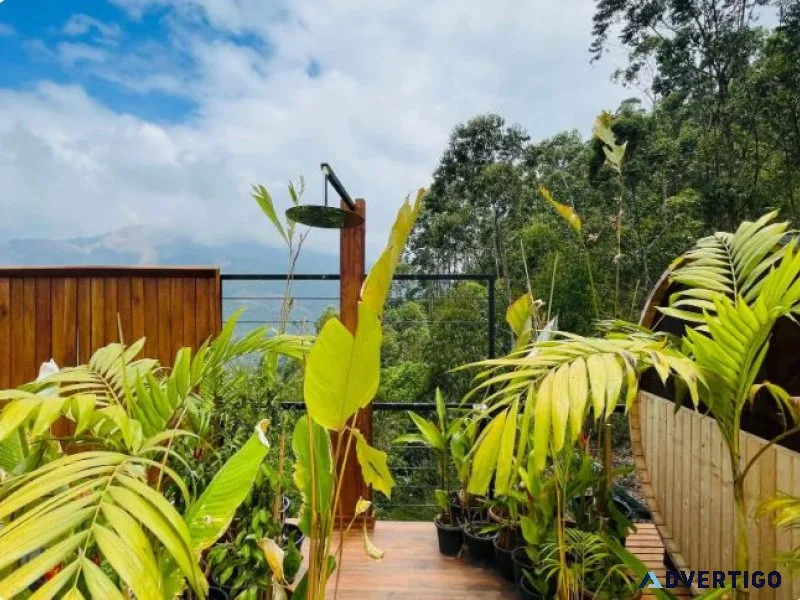 Mountain view staycation munnar | luxury glamping in munnar