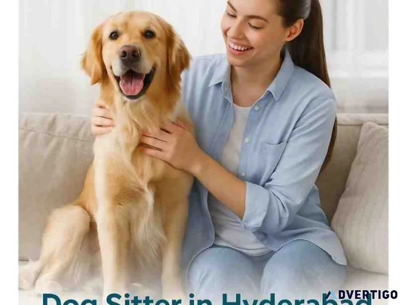 Dog sitter in hyderabad