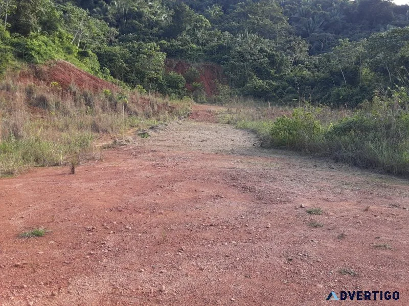 Belize lots in steadfast community stann creek valley
