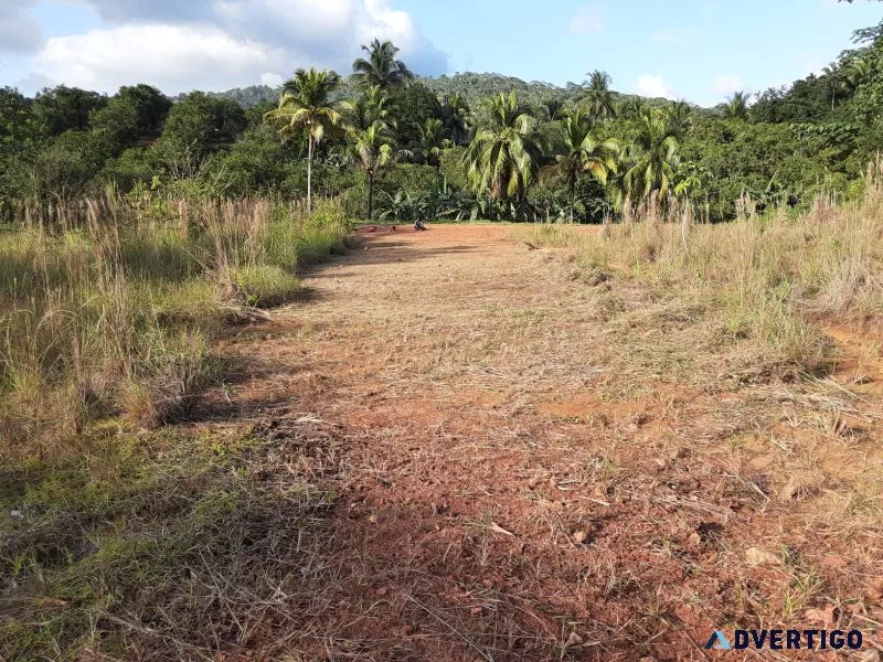 Belize lots in steadfast community stann creek valley