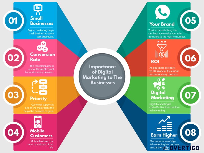 Seo consultant dhaid