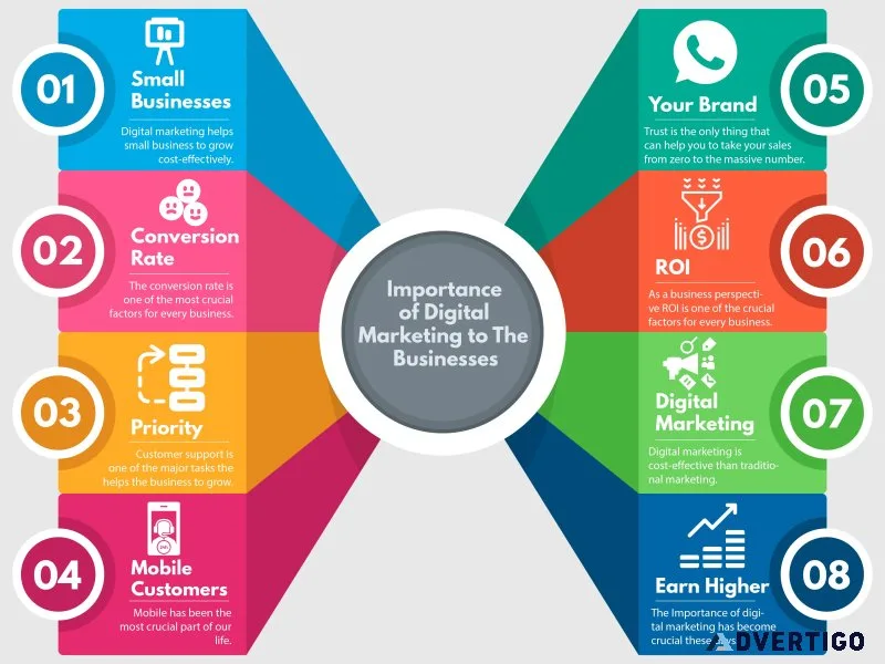 Seo consultant dhaid