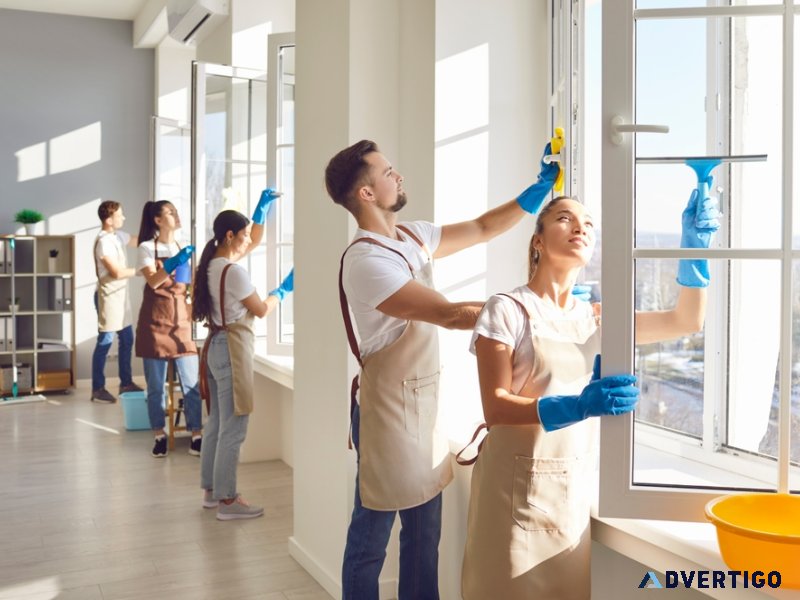🔧🛡️ baroness india – total facilities & security solutions 🏢