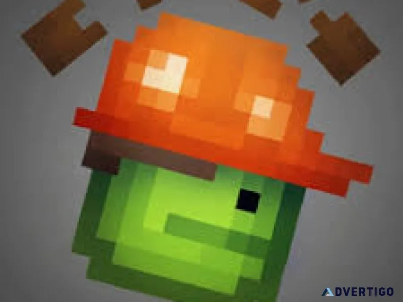 Melon playground