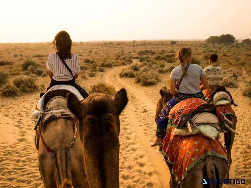 Discover the best overnight camel safari jaisalmer | book now