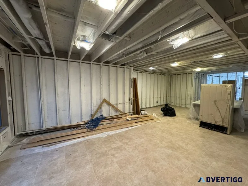 Soflo mold specialist