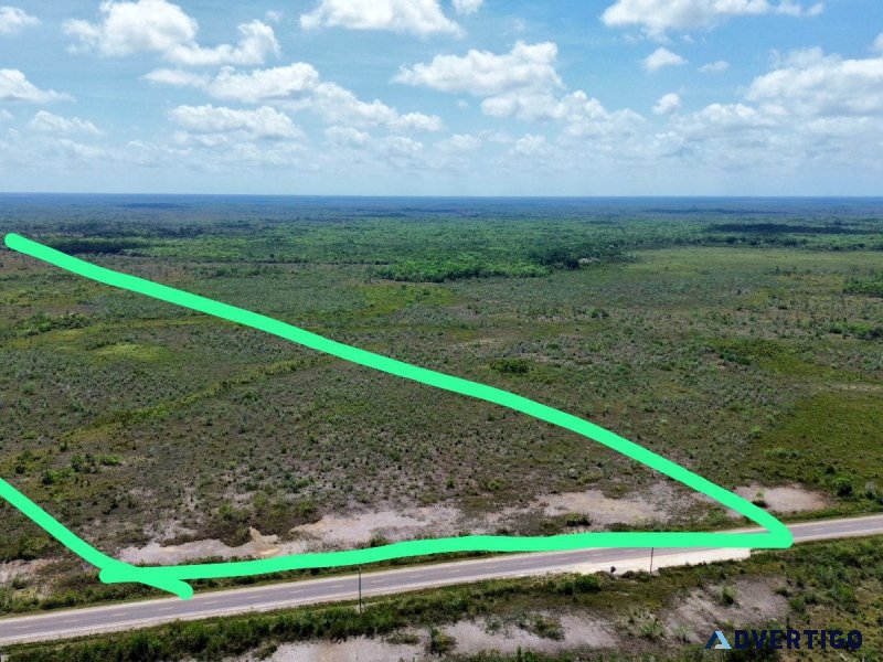 100 acres belize farm land on philip goldson highway