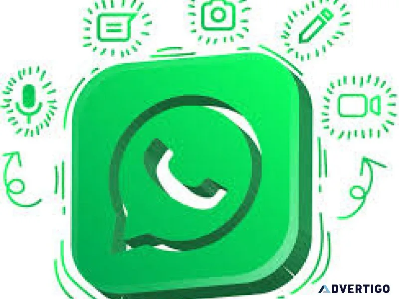 How to optimize your whatsapp marketing strategy