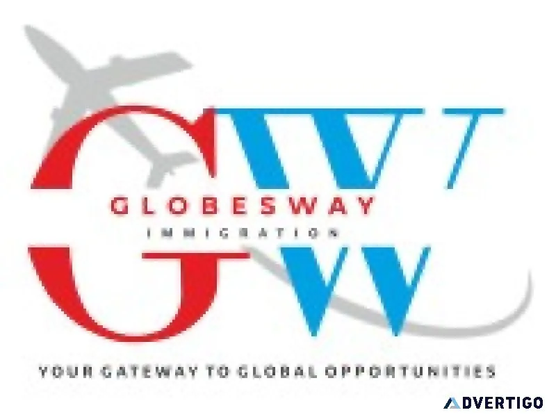 Immigration consultant