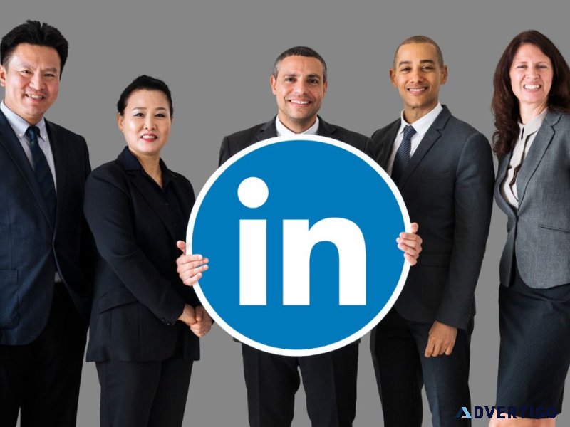 Professional linkedin ad agency for targeted b2b marketing solut