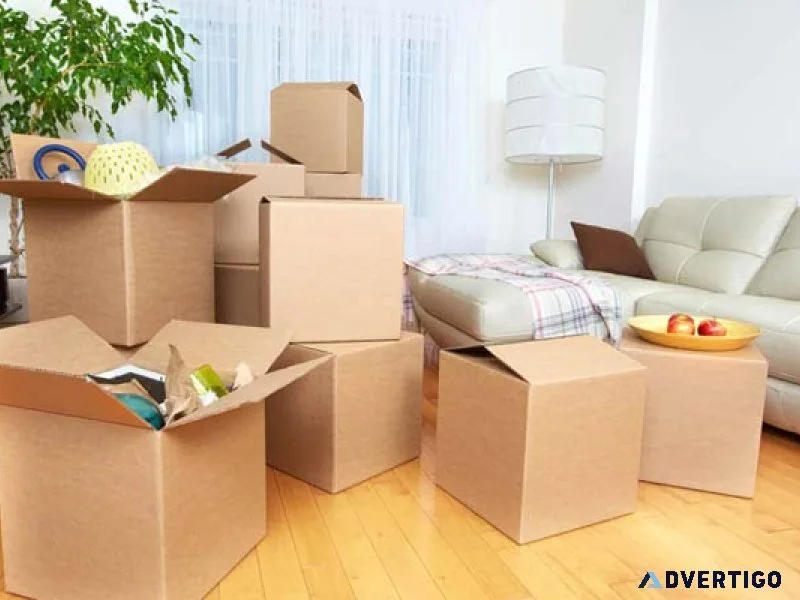 End-to-end relocation services by expert movers in chhatarpur de