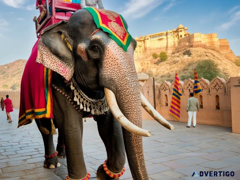 Discover the best jaipur elephant ride for families and nature l