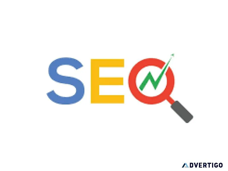 Seo expert liwa oasis