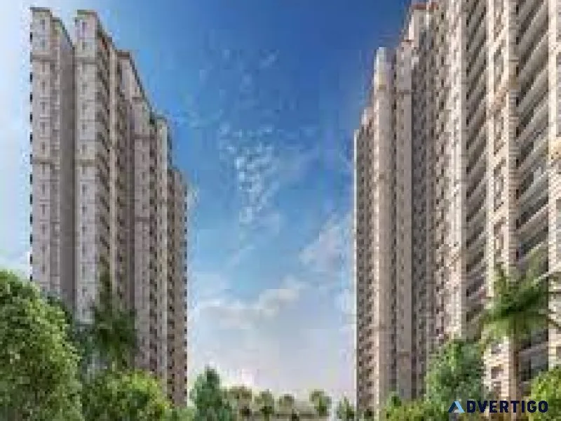 Luxury apartments for sale in noida extension