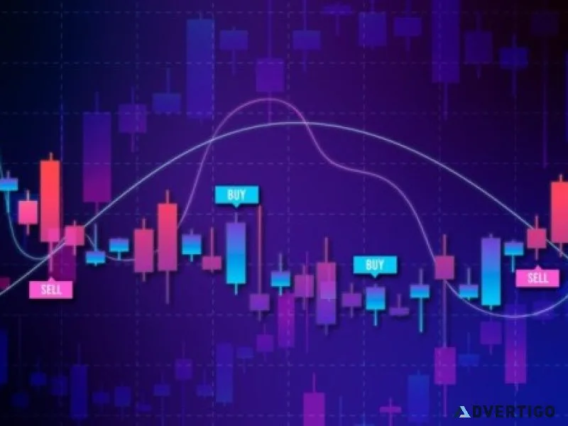 Complete guide stock market trading for beginners – paper tradin