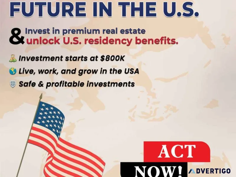 Us investment visa