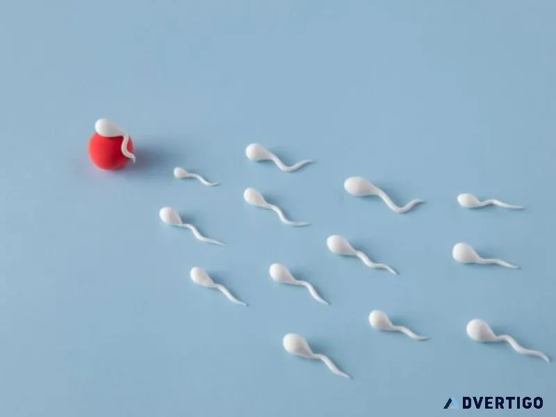 Comprehensive guide to male infertility treatment in india