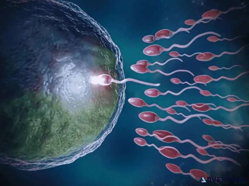 Oligospermia treatment in india: advanced care for male fertilit