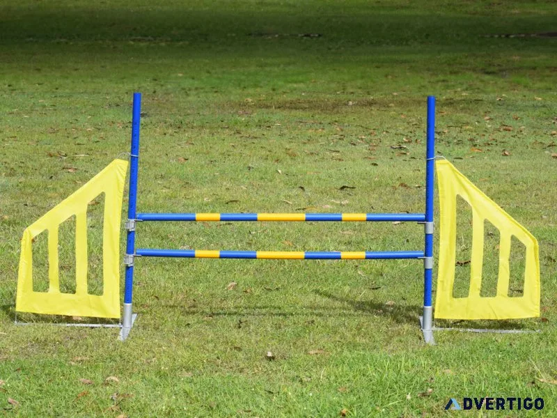 Shop dog agility equipment for training & fun - k9 escapade