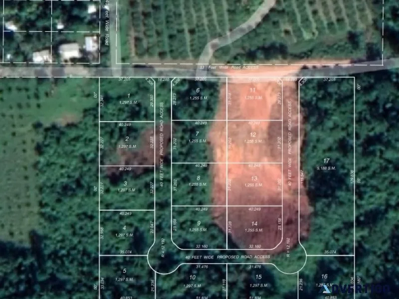 Belize lots in steadfast community stann creek valley