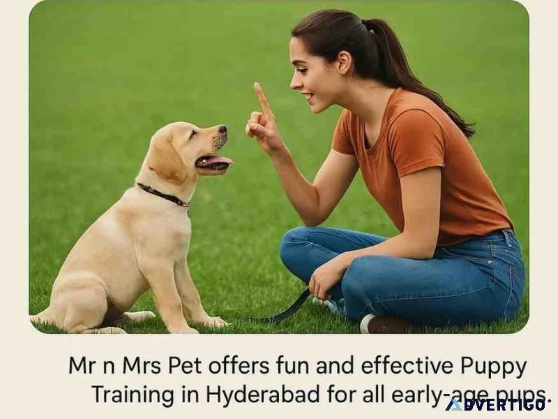 Puppy training in hyderabad