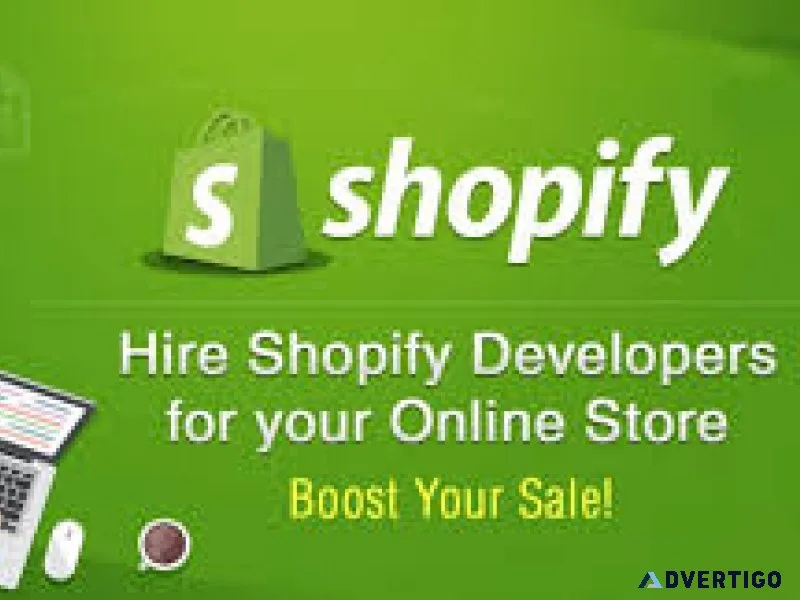 Shopify developer for checkout customization