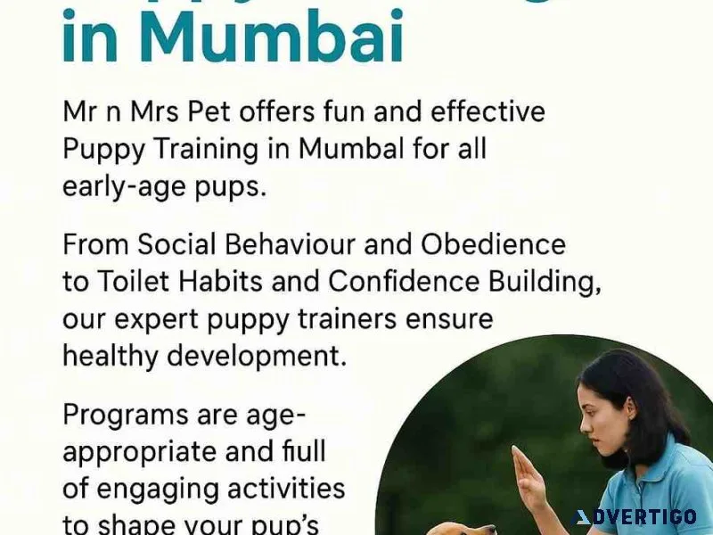 Puppy training in mumbai