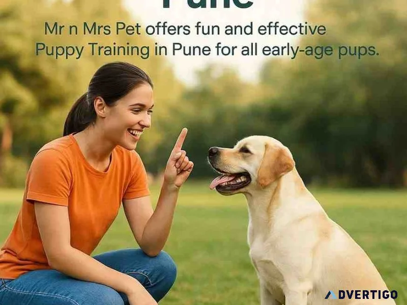 Puppy training in pune