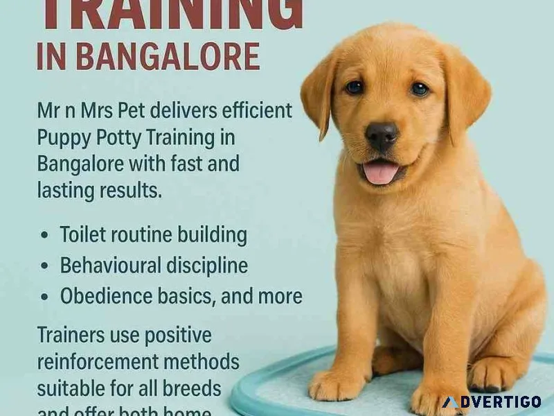 Puppy potty training in bangalore