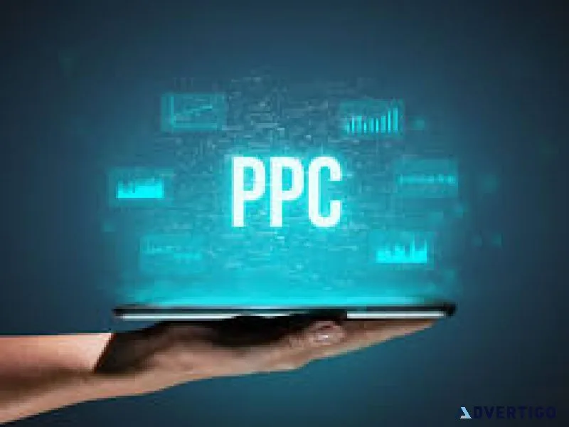 Roi-driven ppc management company