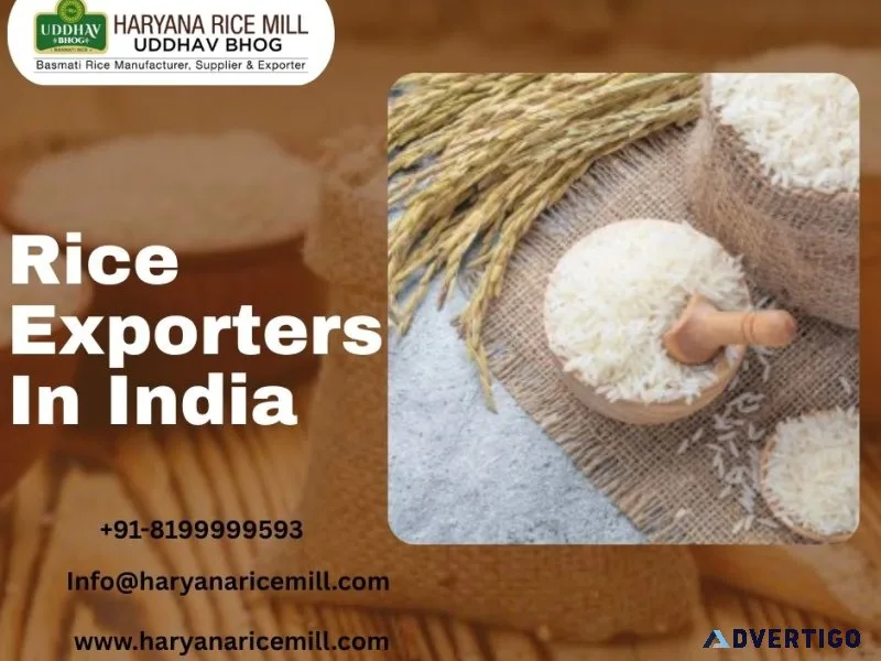 Rice exporters in india