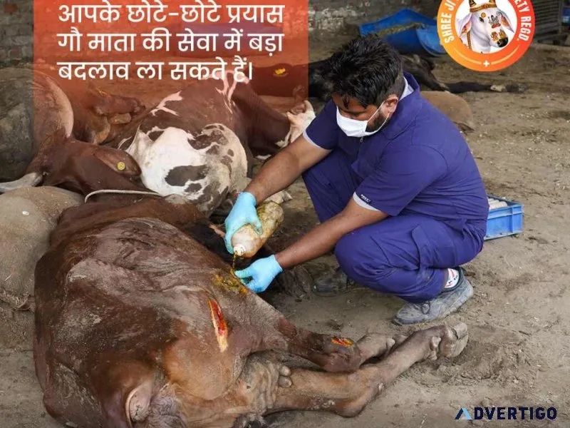 Feed, heal & shelter: join hands with an online donation for gau