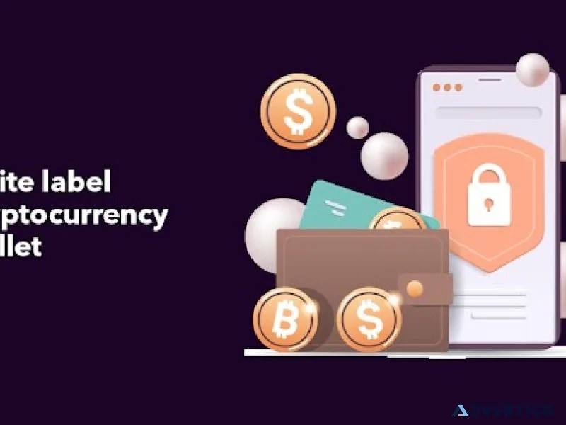 Develop your own white label cryptocurrency wallet with the help