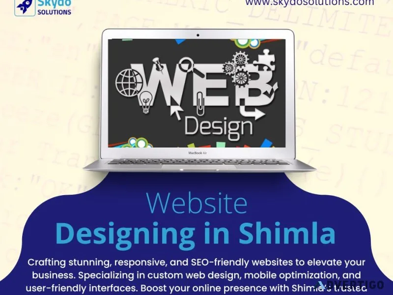 Web designer in shimla