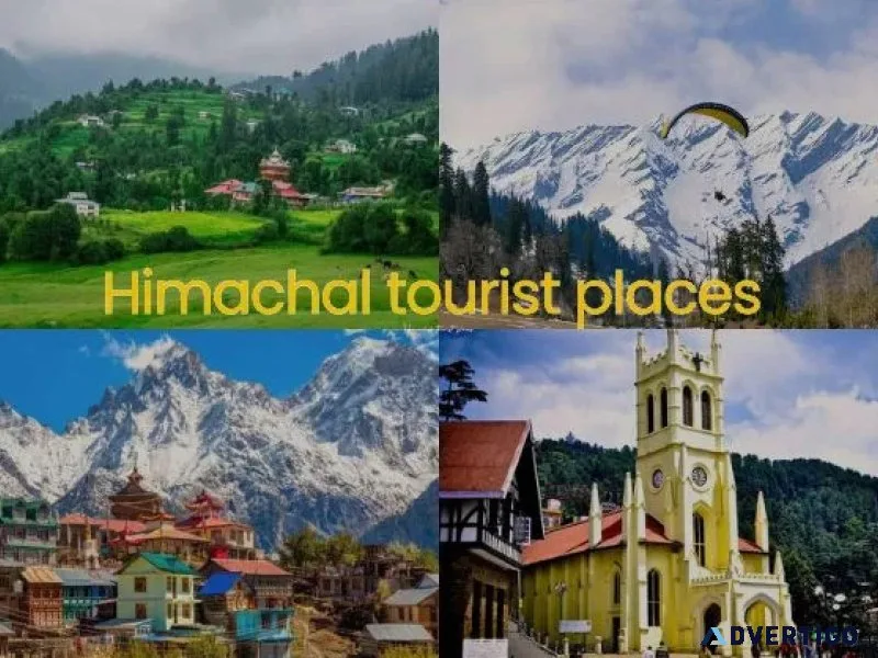 Travel agency in shimla