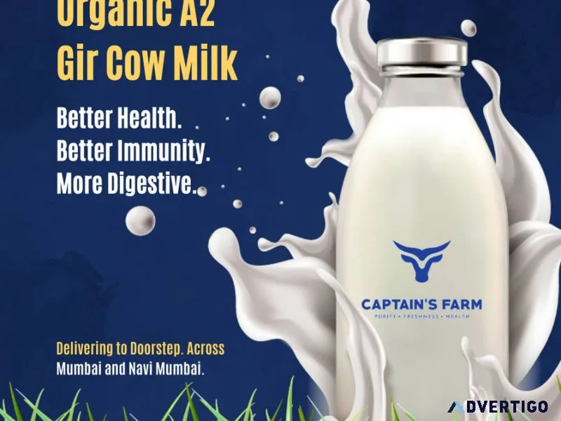 How captain’s farm raises their own gir cows with care
