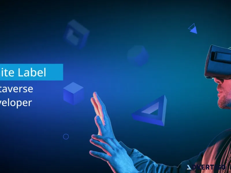 Trusted white label metaverse developer