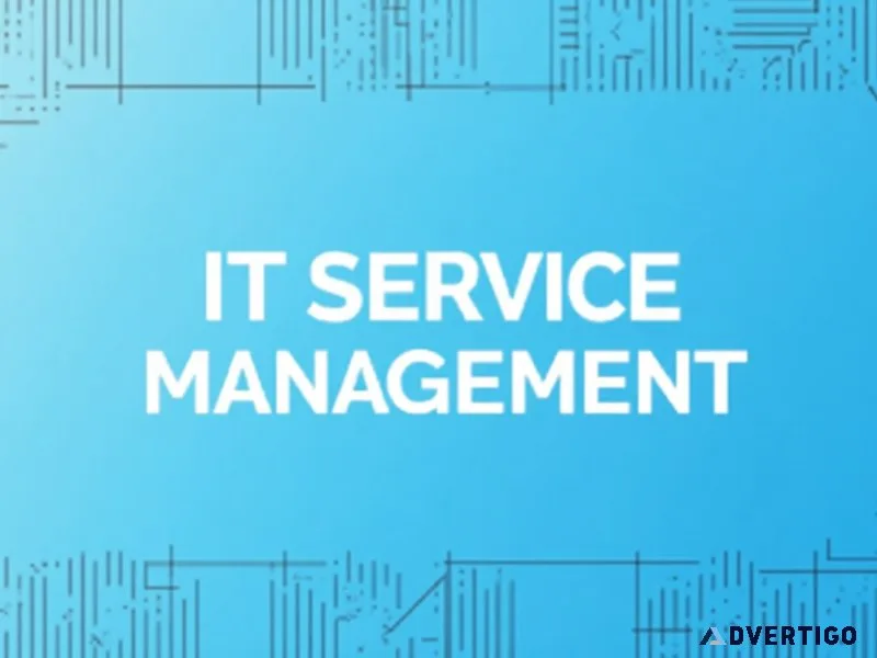 Reliable it service management for your business needs