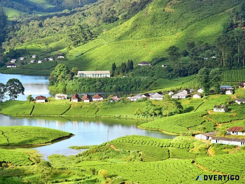South india travel packages: a journey through culture and beaut