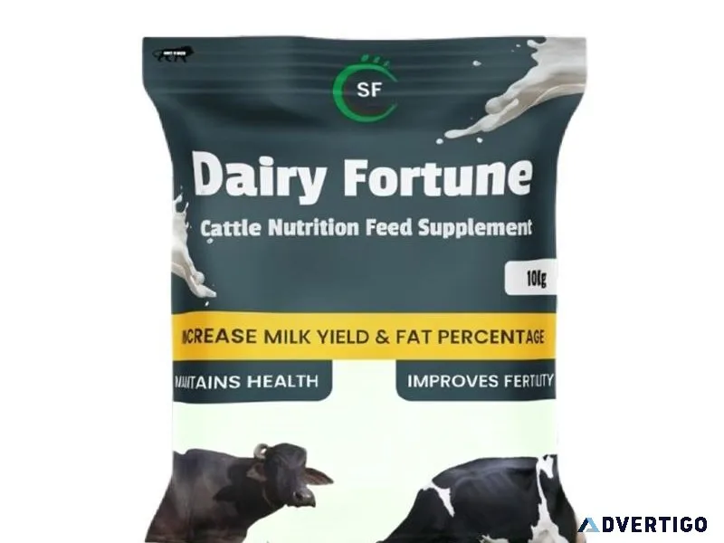 Best cattle feed for increasing milk production