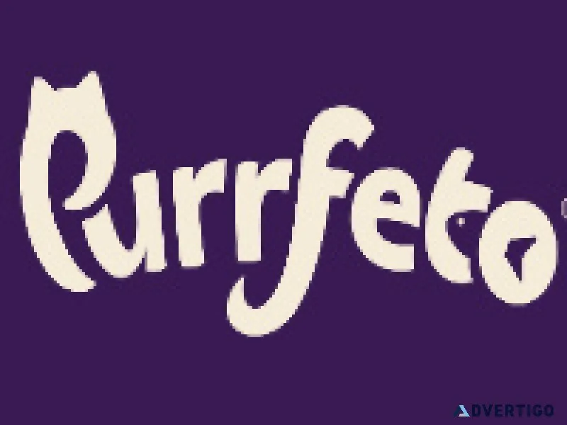 Wholesome care in every bite – purrfeto cat & kitten food