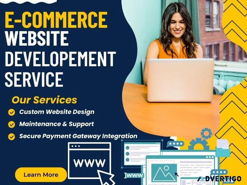 Why should you hire an ecommerce developer in noida for your pro