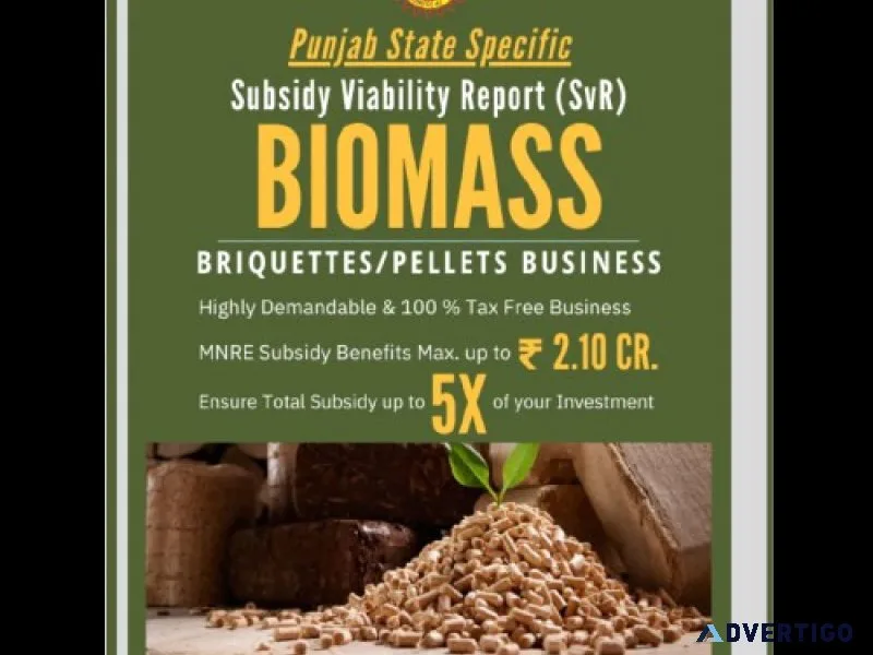 Buy biomass subsidy viability report punjab online