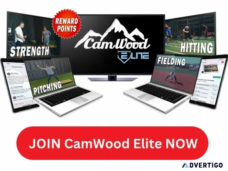 Camwoodbatscom free shipping with code gb20 for 20% game bats