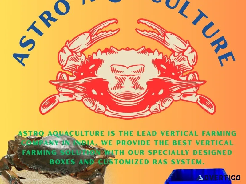 Mud crab exporters in chennai