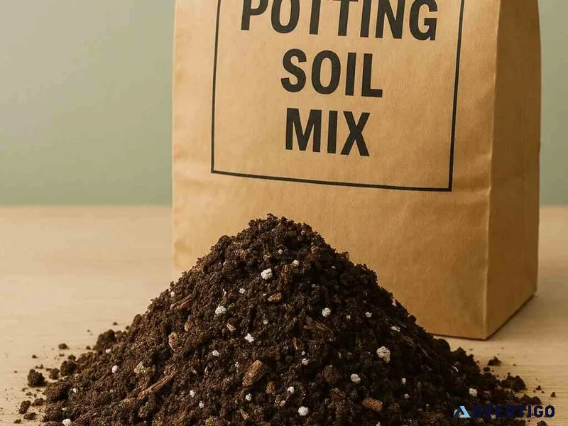 Best potting mix for plants