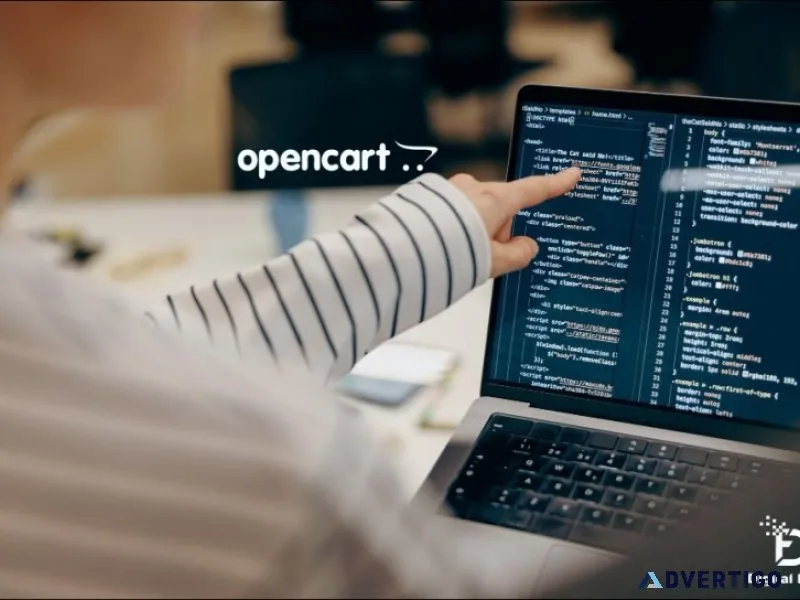 Opencart development services